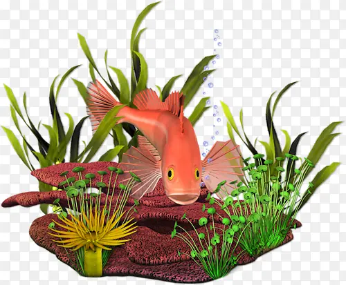 �����е���-������