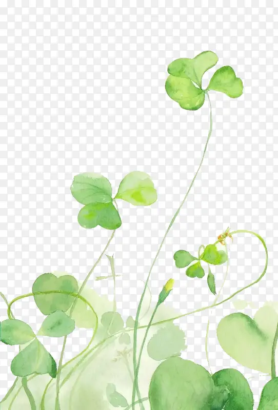 ˮ��Ҷ��-������