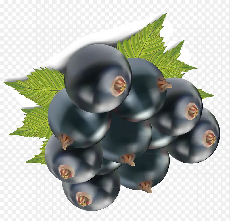 ��÷װ��ʸ�����-������