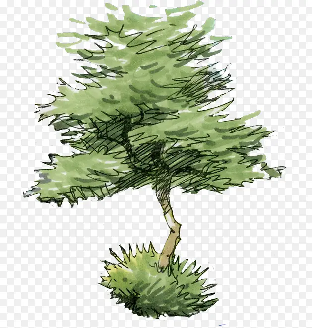 �������ΰ�ֲ�����-������