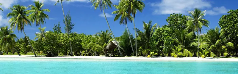 ��������-������