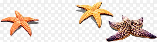 �ɰ���ʺ�������-������