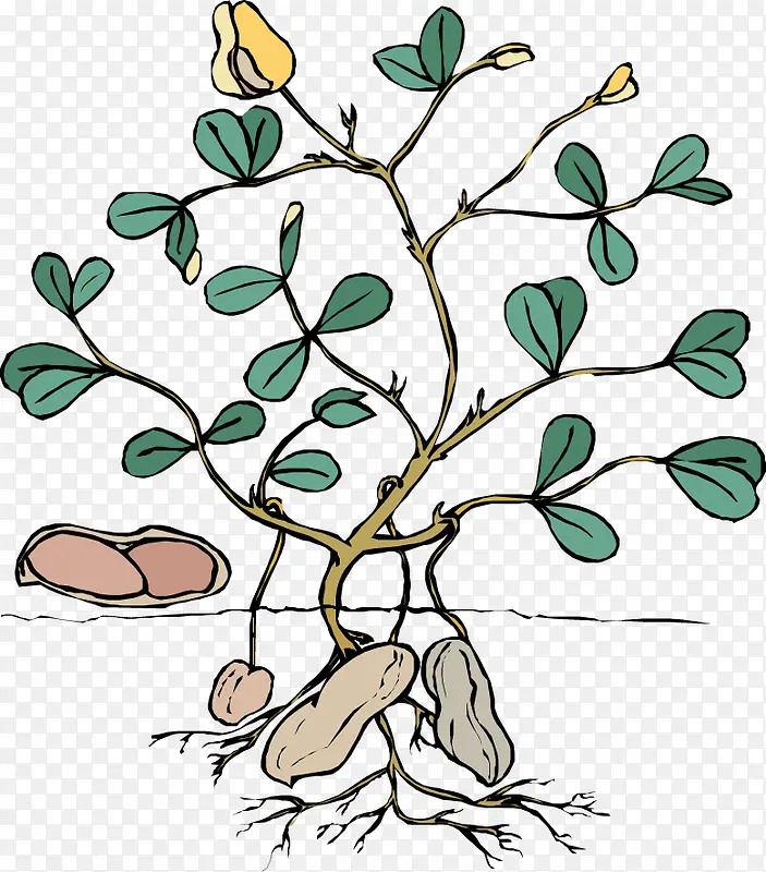 ����ʸ���廭-������