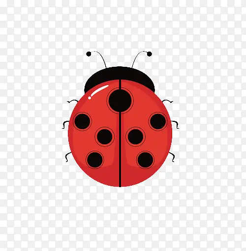 ����ư��-������