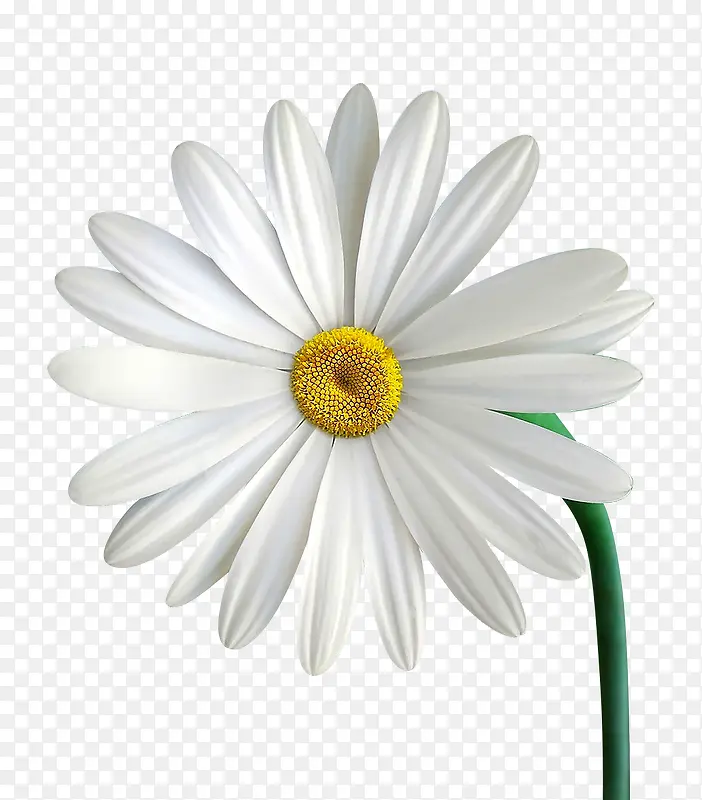 ��ɫ�ջ���ʾ�-������