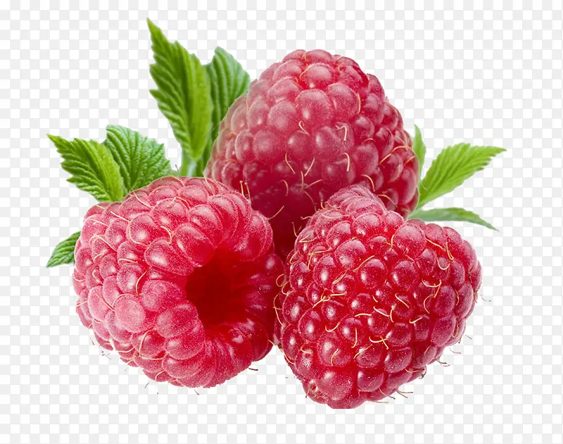 ��Ʒʵ��ʳ��ˮ����ݮ-������