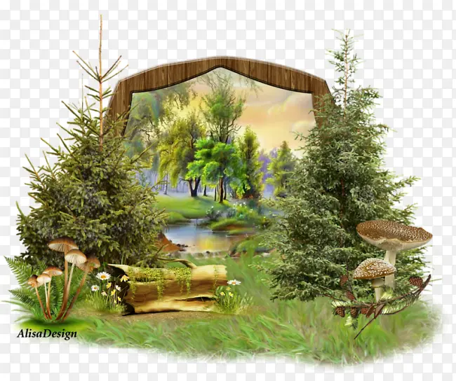 ��-������