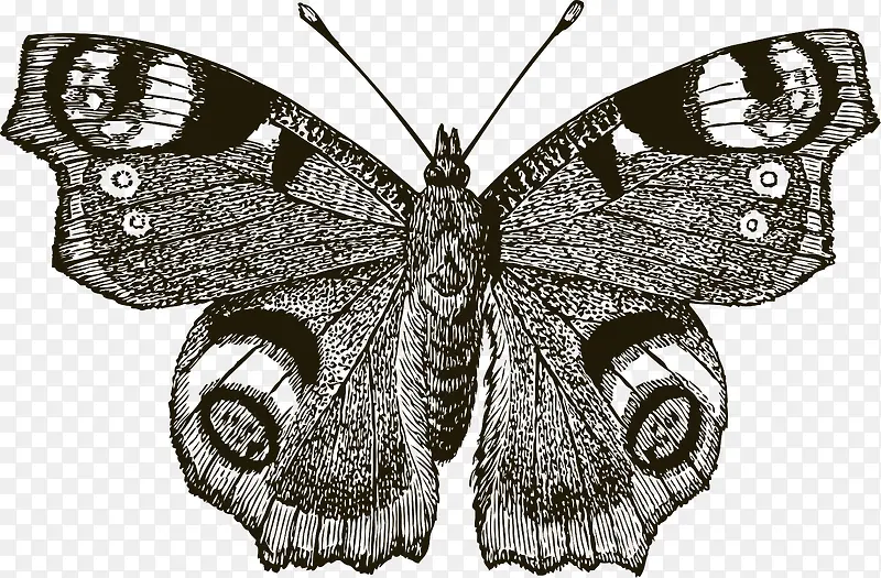 �ֻ�����ɶ�ʸ��ͼ-������