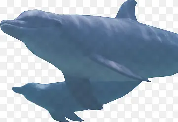 ��Ӱ���׺�������-������