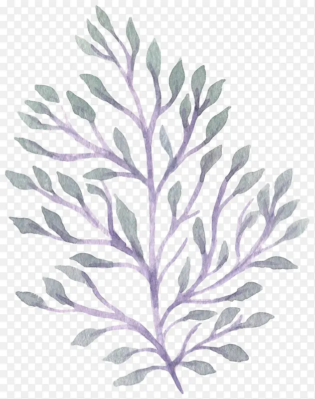 һ֦�ֻ���֦-������