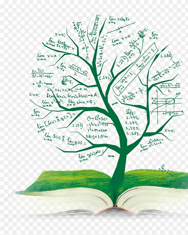 ��ɫ��������-������