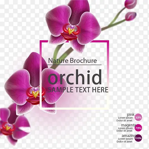 �����߿�-������