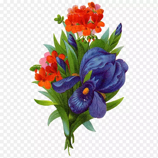 ���ۻ���-������