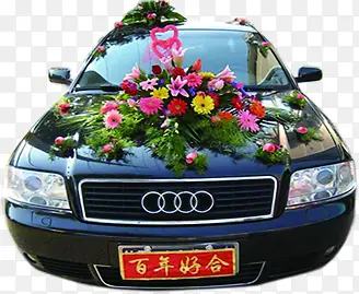 ��ɫ�µϻ鳵����-������