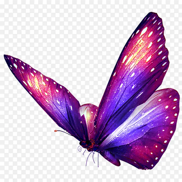 ����-������