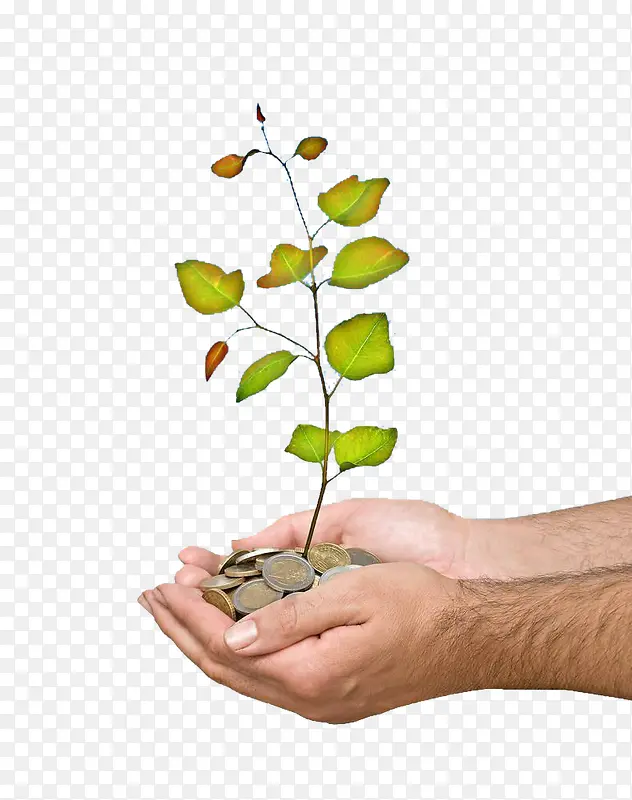 ��������-������