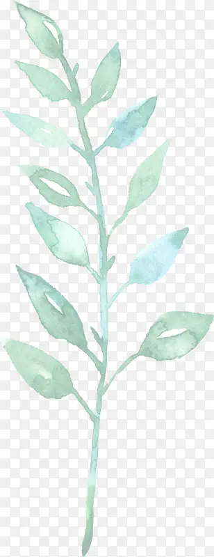 ��ɫˮ�ʻ���|��Ҷ1-������