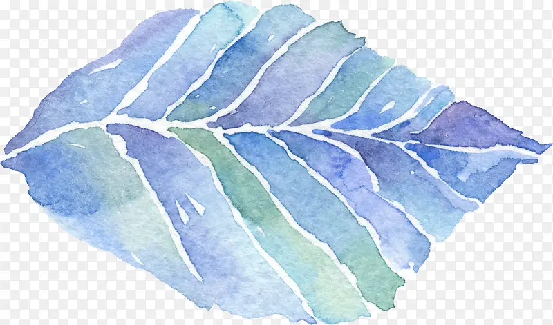 ��ɫˮ�ʻ���|��Ҷ12-������