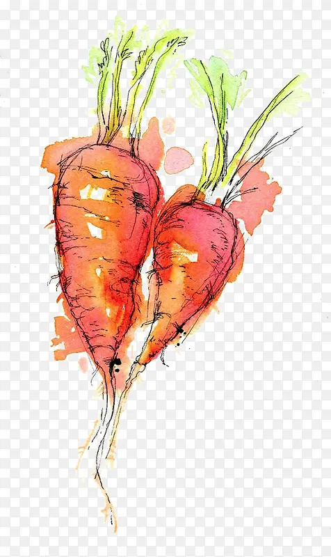 ˮ�ʺ��ܲ�-������