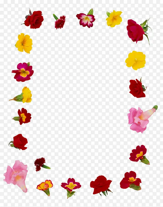 ����߿�-������