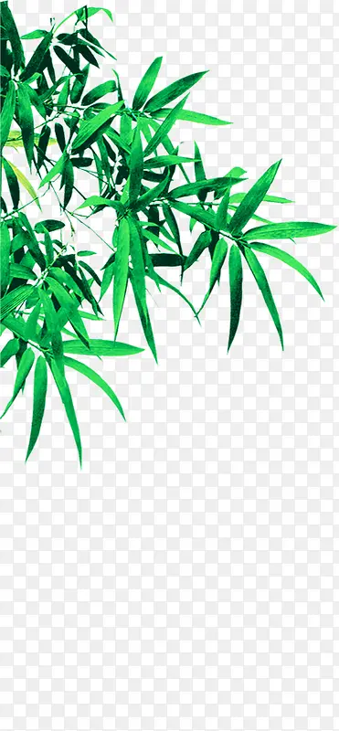 ������Ӱ��ɫ������Ч��-������