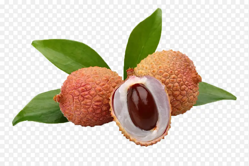 ���ʵ���֦ˮ��ͼ-������