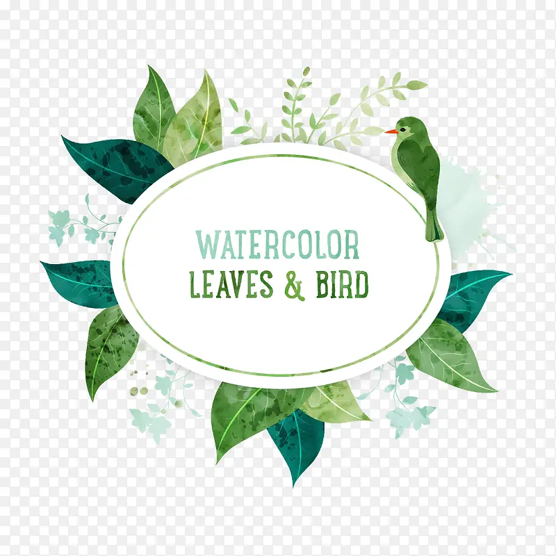 С����ˮ��Ҷ��-������