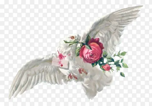 �����Ҹ��Ϳ��ֵİ�ɫ����-������