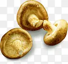 ������Ӱ�ϳ�Ч���㹽-������