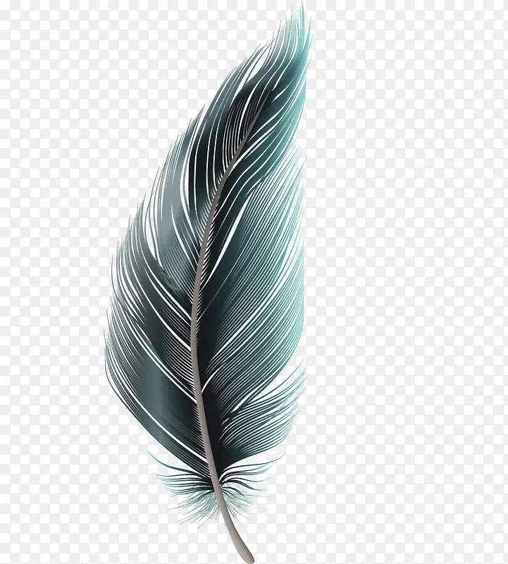 һ��ʸ����ɫ��ë-������