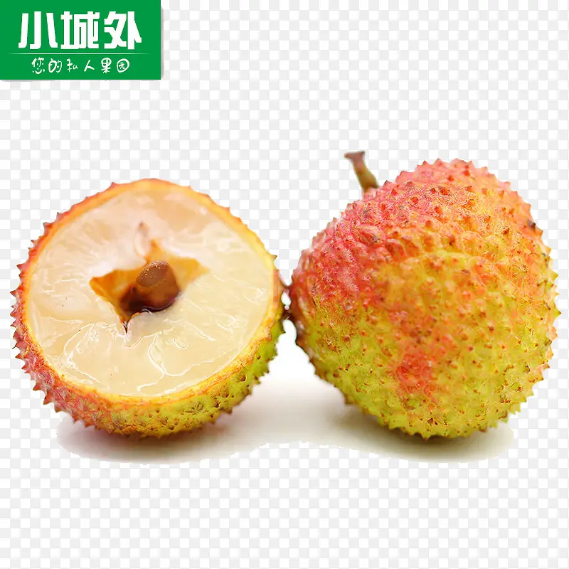 ������֦��ӰͼƬ-������