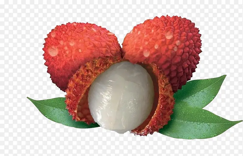 ���ʵ���֦ˮ���ز�-������