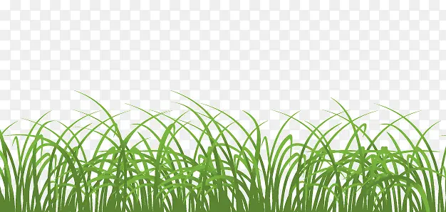 ʸ��С��-������