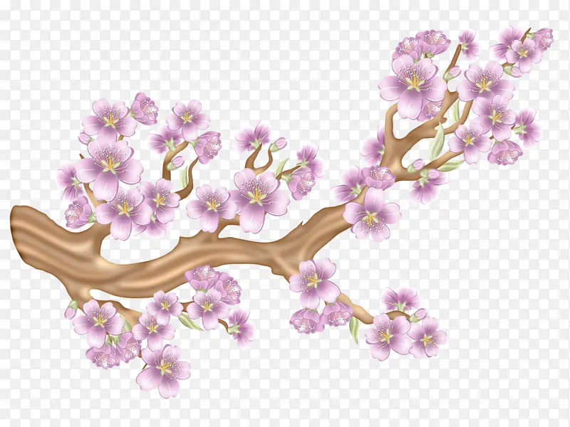 ���ϵ�ӣ��-������