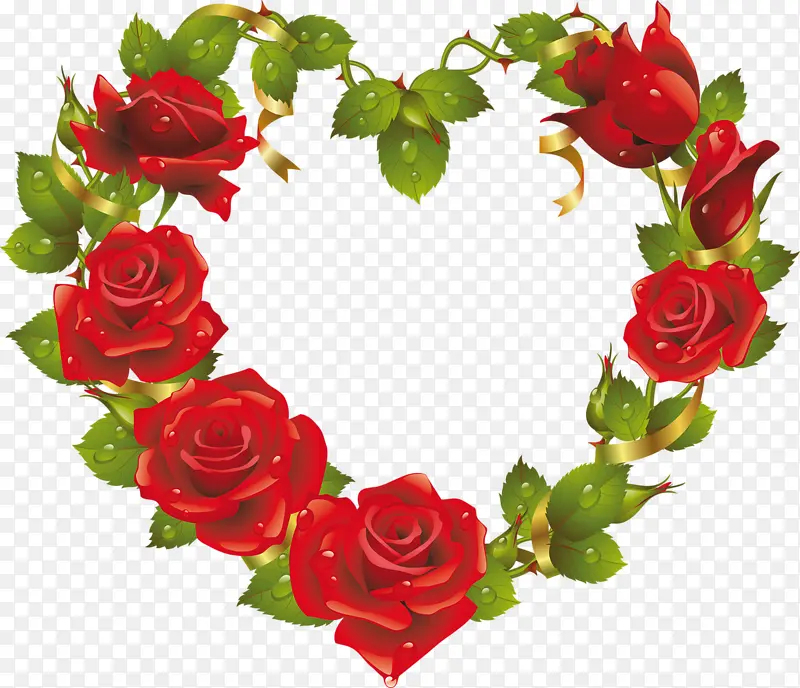 ��ɫõ����Ҷ����-������