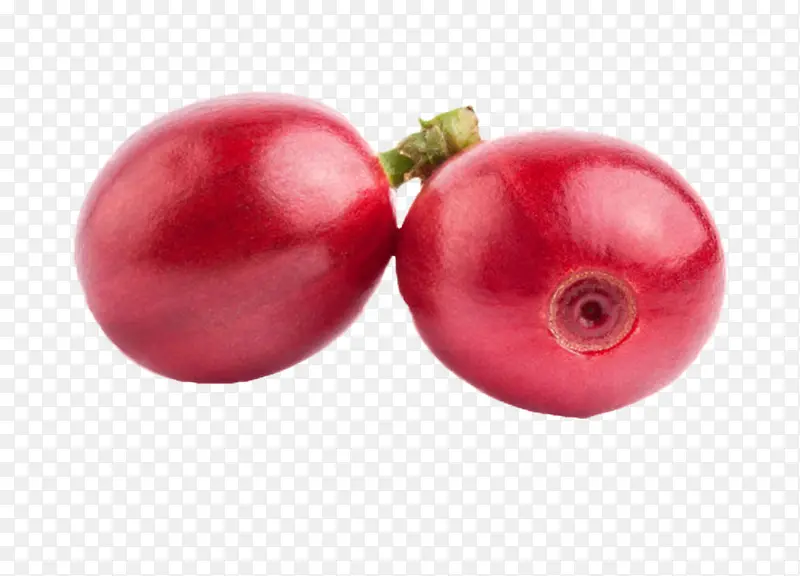 ��ɫ����Ŀ��ȹ�ʵ��-������