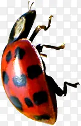 ���տ�ͨ��ɫ����-������