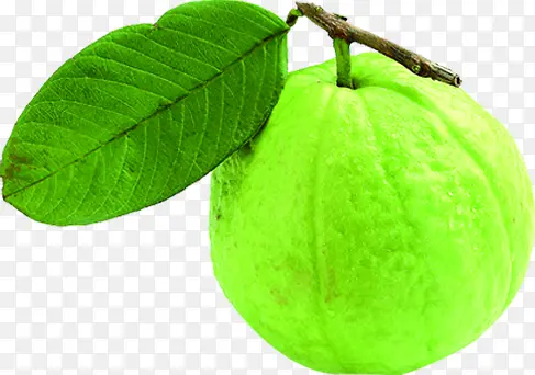 ��������ˮ����֦���-������