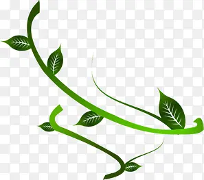 ����ɫ��֦Ԫ��-������