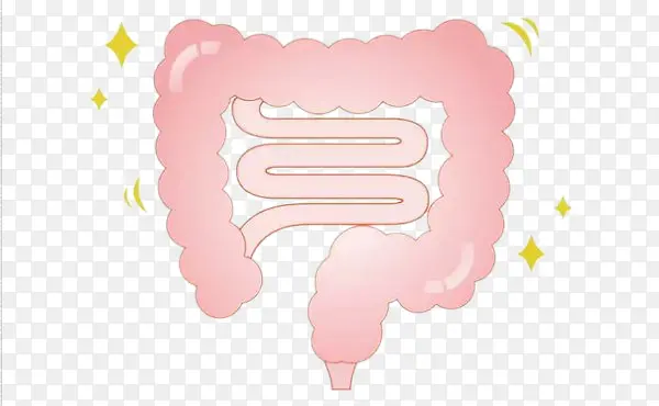 �ֻ泦��-������