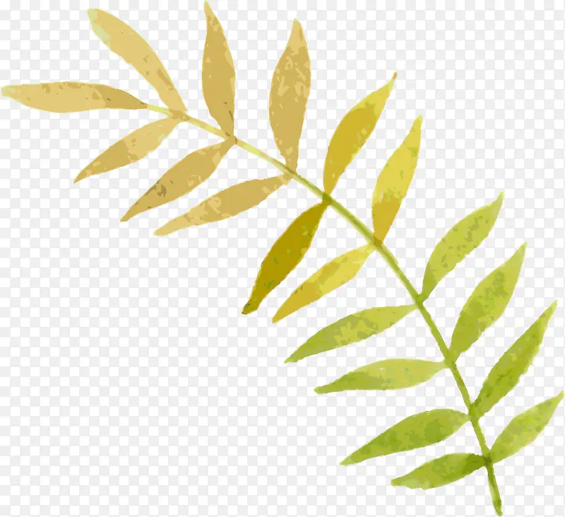 �ֻ���֦-������