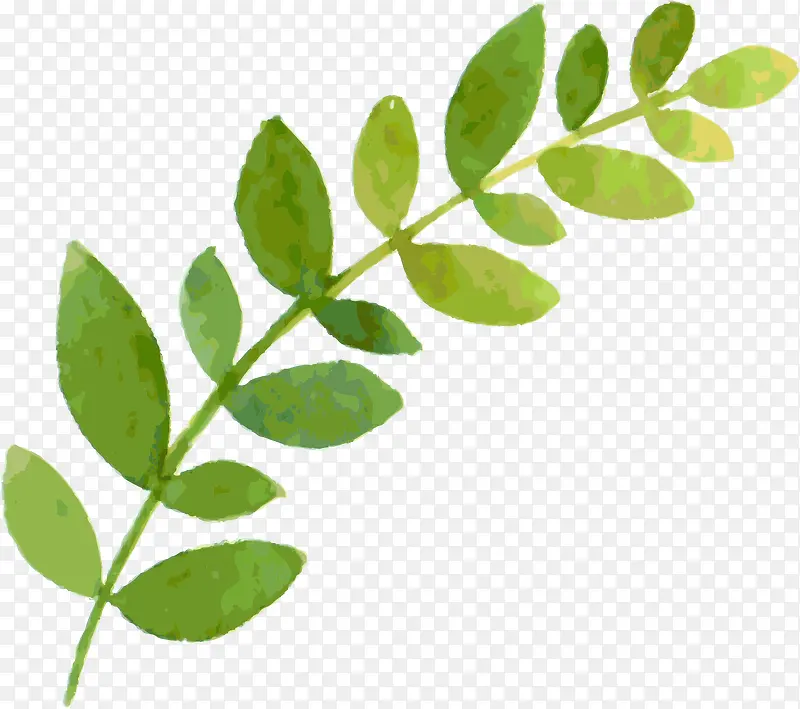 �ֻ���֦-������