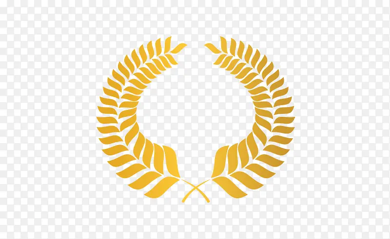 ��Ҷ���ƽ���ʸ��-������