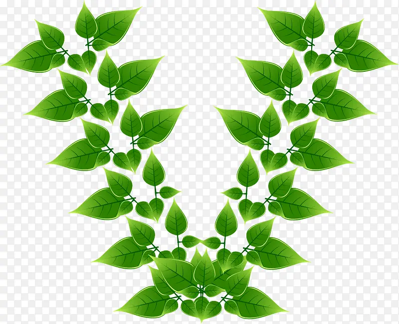 v����ɫ��Ҷʸ��-������