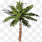 �ļ�԰����ɫֲ�����-������