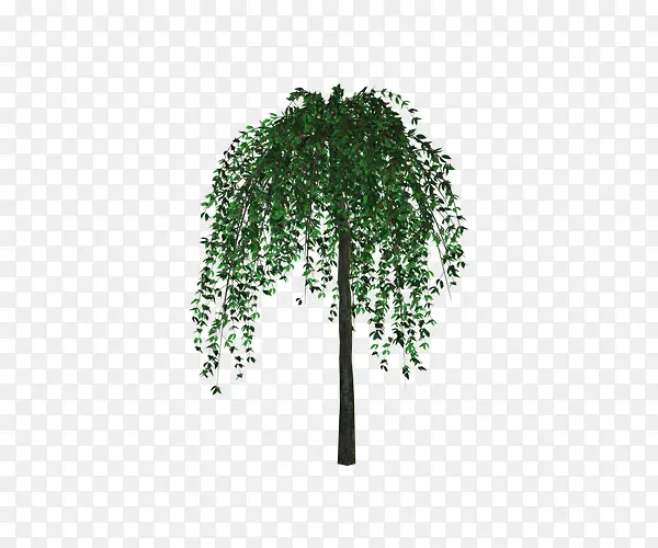 ��ɫ�������-������