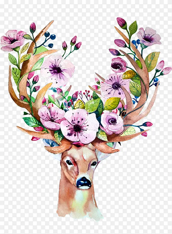 ˮ����¹-������