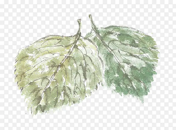 �ֻ��Ҷ-������