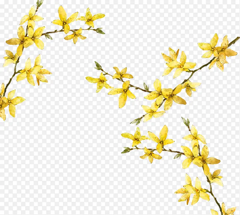 �ʻ��ɫ��֦-������