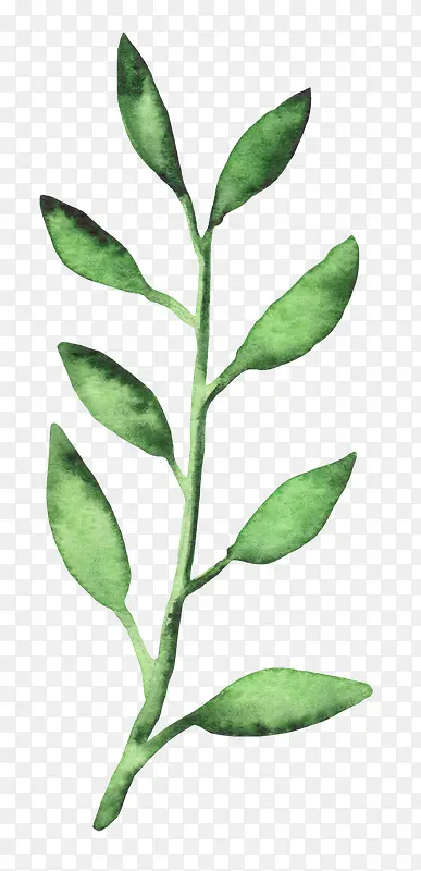 �ɰ�С����װ�κ���װ����֦-������